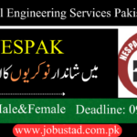 NESPAK Jobs 2024 | National Engineering Services Pakistan Jobs 2024 | Online Apply Jobustad