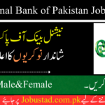 National Bank of Pakistan Jobs (NBP) 2024 - NBP Jobs 2024 - JobUstad