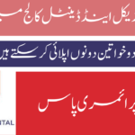Atlas Battery Limited Jobs 2024 3