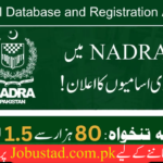 NADRA Jobs In 2024 - Online Apply For NADRA Jobs 2024 - Jobustad