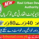 Ravi Urban Development Authority Jobs in 2024 - Online Appy for RUDA Jobs in 2024 - JobUstad