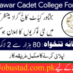 Bakhtawar Cadet College Jobs 2024 - Online Apply for Bakhtawar Cadet College Jobs - Jobustad