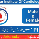 Peshawar Institute Of Cardiology Jobs 2024 - Online Apply for PIC Jobs 2024 - Jobustad
