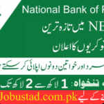 NBP Jobs 2024 in Karachi - Apply Online for NBP Jobs in Karachi - Jobustad