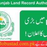 Punjab Land Record Authority Jobs In 2024 - Online Apply for PLRA Jobs 2024 - JobUstad