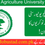 Arid Agriculture University Jobs in 2024 - Online Apply for Arid Agriculture University Jobs - Jobustad