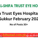 Al Shifa Trust Eye Hospital Jobs in Sukkur - Apply for Al Shifa Trust Eye Hospital Jobs - Jobustad