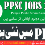 PPSC Job Advertisement 2024 - Download the PPSC Challan Form - Apply Now - new jobs 2024