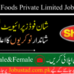 Shan Foods Private Limited Jobs In 2024 - Online Apply for Shan Foods Private Limited