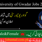 University of Gwadar Jobs in 2024 - Apply for University of Gwadar Jobs - Jobustad
