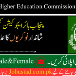 Punjab Higher Education Commission Jobs 2024 - Apply for Punjab Higher Education Commission Jobs - New Jobs 2024