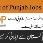 Bank of Punjab Jobs 2024