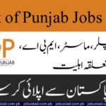 Bank of Punjab Jobs 2024 - Online Apply BOP Jobs Latest Advertisement - Government Jobs 2024
