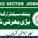 KPK Public Sector Organization Jobs 2024 - Apply Online Latest Advertisement 202.63.219.14