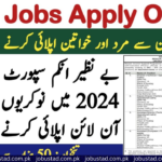 Benazir Income Support Programme Jobs 2024 - Apply For BISP Jobs 2024
