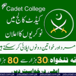 Cadet College Dera Ismail Khan Jobs 2024 - Apply Now - New Government Jobs 2024