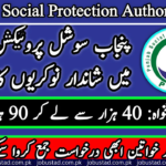 Punjab Social Protection Authority Jobs 2024 - Apply Now For PSPA Jobs 2024 - Government Jobs 2024
