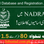 NADRA Jobs In 2024 - Apply Now Latest Government Jobs - Today New Jobs 2024