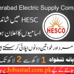 Hyderabad Electric Supply Company Jobs 2024 - Apply For HESCO Jobs 2024 - New Jobs 2024