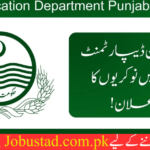 School Education Department Punjab Jobs 2024 - Apply for Government Jobs 2024