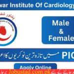 Peshawar Institute Of Cardiology Jobs 2024 - Online Apply for PIC Jobs 2024 - Pakistan Jobs in 2024