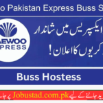 Daewoo Express Jobs in 2024 - Apply for Daewoo Pakistan Express Bus Service Jobs - Pakistan jobs in 2024