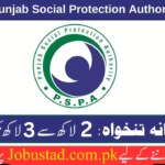 Punjab Social Protection Authority Jobs in 2024 - Apply for PSPA Jobs 2024 - latest jobs in Pakistan