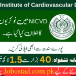 National Institute of Cardiovascular Diseases Jobs 2024 - Apply for NICVD Jobs - Government jobs in 2024
