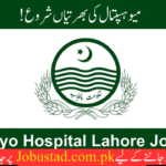 Mayo Hospital Lahore Jobs In 2024 - Apply For Mayo Hospital Jobs - Government jobs in 2024
