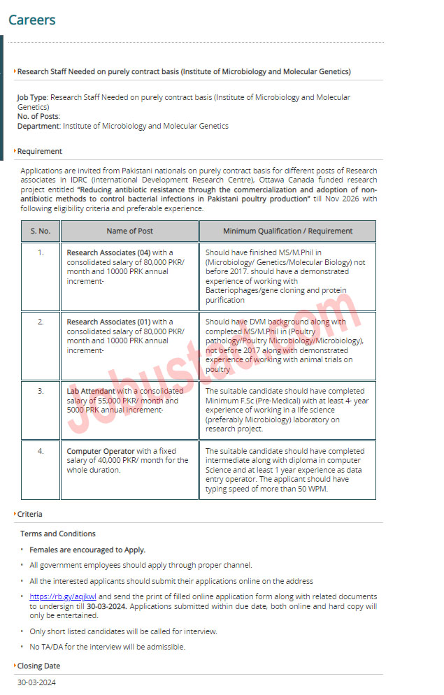 Latest PU Jobs in Lahore March 2024 Advertisement