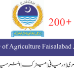 NAB Jobs 2024