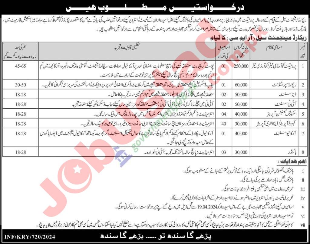 Sindh Record Management Cell RMC Job 2024