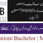 پنجاب سکول ایجوکیشن ڈیپارٹمنٹ میں نوکریاں 1