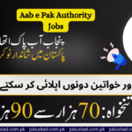 Punjab Aab e Pak Authority Latest Jobs 2024 Online Apply - Pakistan Jobs in 2024 - Government Jobs 2024