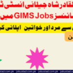 Pir Abdul Qadir Shah Jeelani Institute Jobs In 2024 - Apply Online Government Jobs 2024