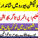 Child Protection & Welfare Bureau Government Of The Punjab Jobs In 2024 - Online Apply Government Jobs 2024