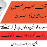 Bank Of Khyber Jobs 2024