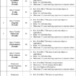 Cantt Public Education Institute Of Lahore Cantonment Board Jobs 2024 - Online Apply - Government Jobs 2024