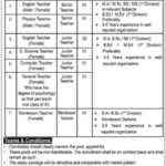 Cantt Public High School And Girls College Kharian Jobs 2024 - Online Apply - Government Jobs 2024