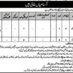Combined Military Hospital Mardan Jobs 2024 - CMH Jobs - Online Apply - Government Jobs 2024