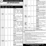 Electronic Certification Accreditation Council Jobs 2024 - Online Apply ECAC Jobs - Online Apply - Government Jobs 2024