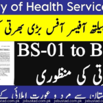 Ministry of National Health Services Regulation & Coordination Islamabad jobs 2024 - Pakistan Jobs in 2024 - Government Jobs 2024