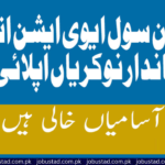 Pakistan Civil Aviation Authority Jobs 2024 - Apply Now For PCAA Jobs - Jobustad