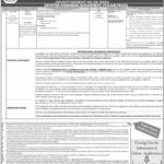 Punjab Public Service Commission Jobs 2024 - Online Apply PPSC Job Advertisement No. 9/2024 - Pakistan Jobs in 2024