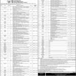 Sadiq College University Bahawalpur Jobs 2024 - Online Apply - Pakistan Jobs in 2024