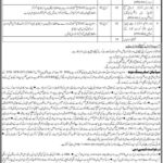 Sindh Highway Rescue 1122 Jobs 2024 - Online Apply Sindh Highway Rescue Jobs - New Jobs in Pakistan 2024