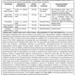 Shaheed Ayoub Buledi Higher Secondary School Jobs 2024 - Online Apply - Government Jobs 2024