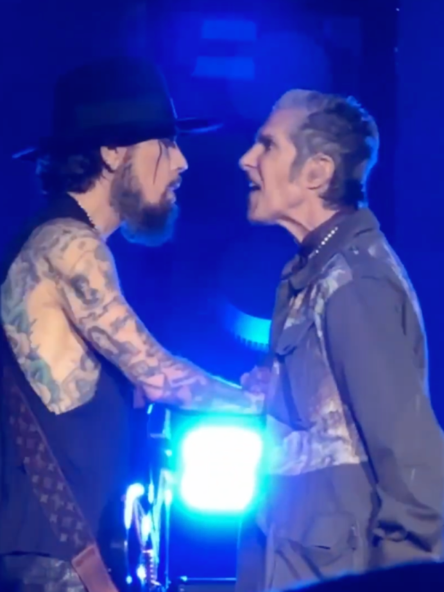 Chaos at Boston Concert: Perry Farrell Punches Dave Navarro Onstage