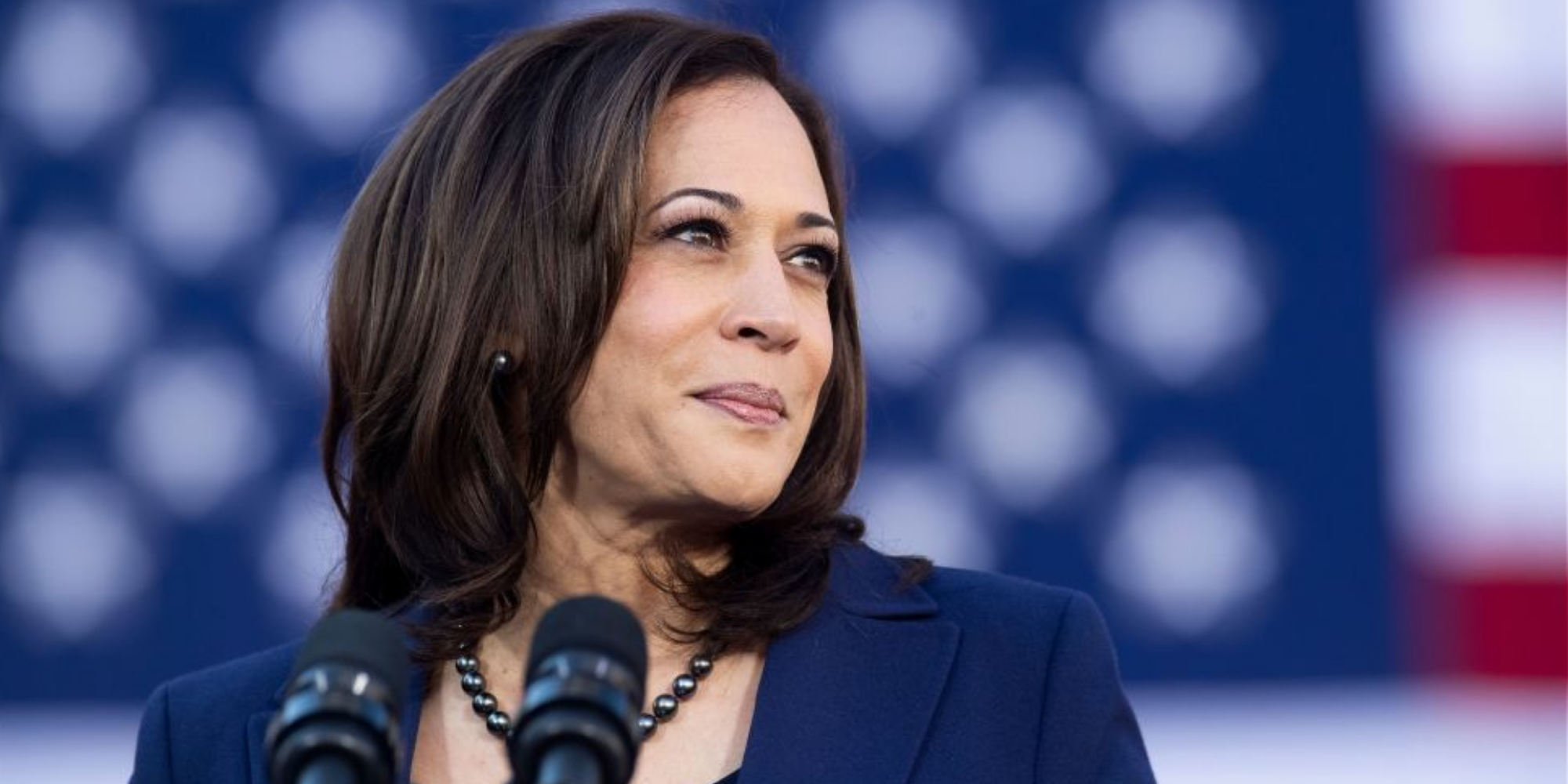 Harris and Trump Battle in Key States: The Final Sprint