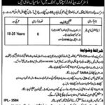 DHQ Hospital Jhang Data Entry Operator Jobs Vacancies - DHQ Hospital Jhang Data Entry Operator Jobs 2025